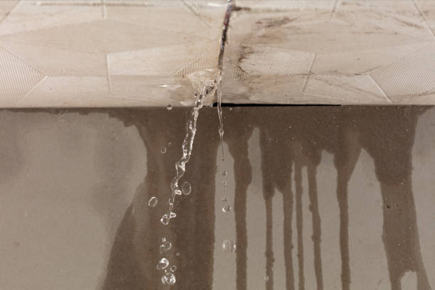 Professional Structural Drying technician working in Brookville, OH